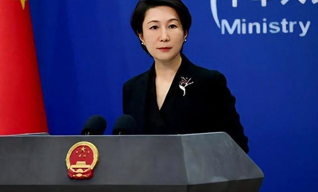 3个规矩到访的岩屋毅口气变得老老实实龙8国际电子游戏娱乐平台中方提前立了(图4)