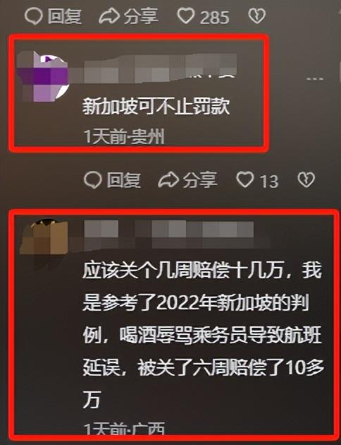 回应更多细节曝光网友说是“惯犯”龙8体育入口女子逼停飞机新后续：(图7)