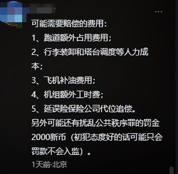 回应更多细节曝光网友说是“惯犯”龙8体育入口女子逼停飞机新后续：(图12)